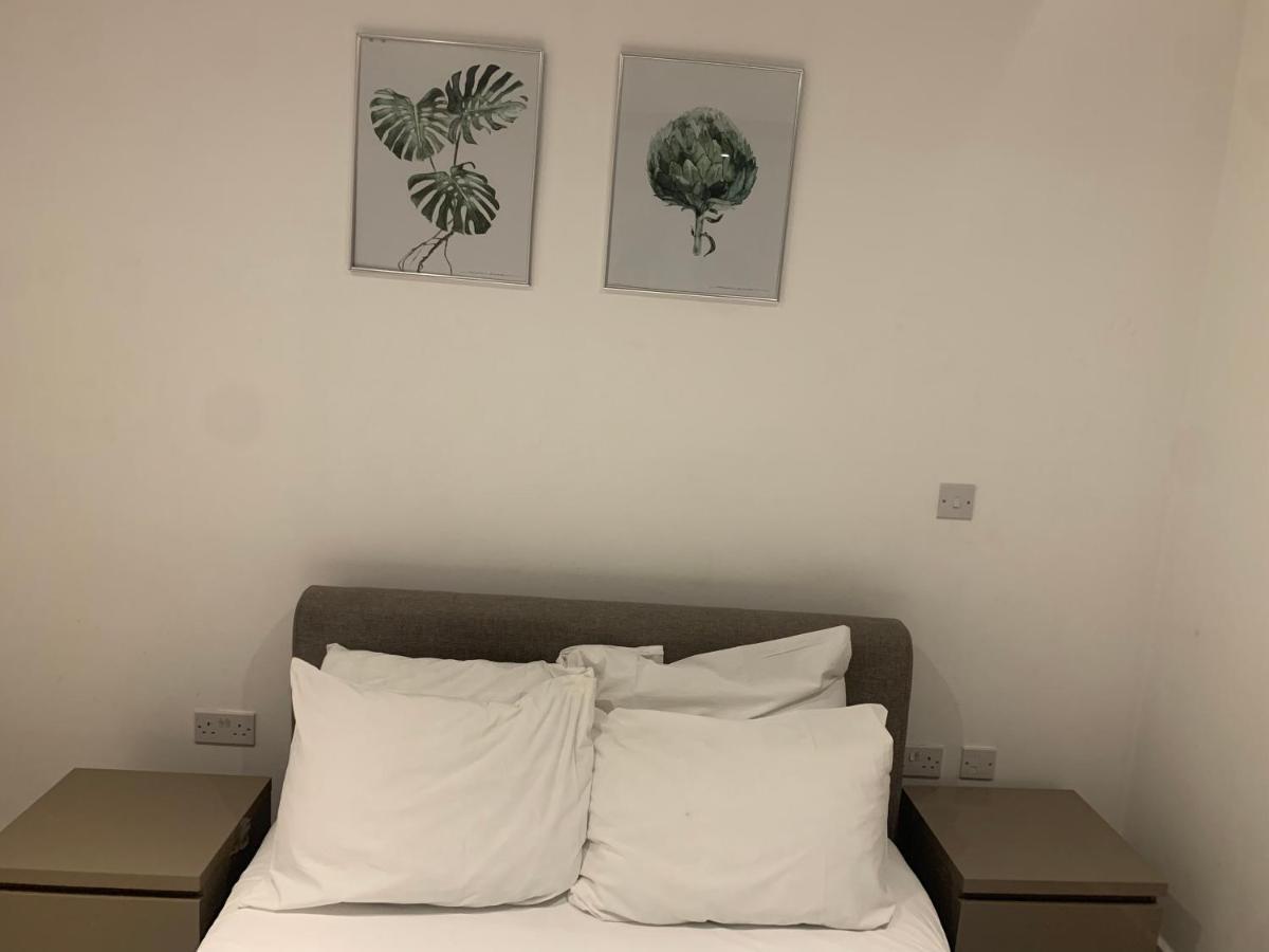 2 Bedroom 2 Bath 1 Ensuite In Roya Asenal Beautiful Views & Parking London Ngoại thất bức ảnh